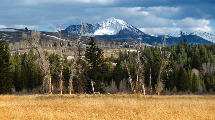 Photo du Mount Leidy en automne depuis la Snake River © Ron Fross - Beautiful Wyoming