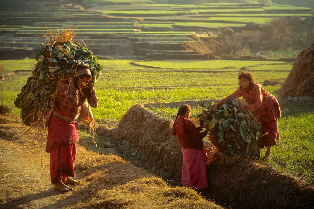 vie quotidienne au Népal © Ron Fross - Voyage au Népal