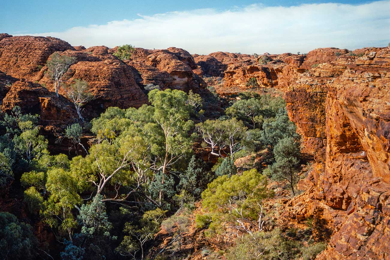 Beautiful Watarrka, Australia