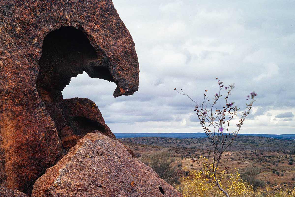 Broken Hill countryside, Australia