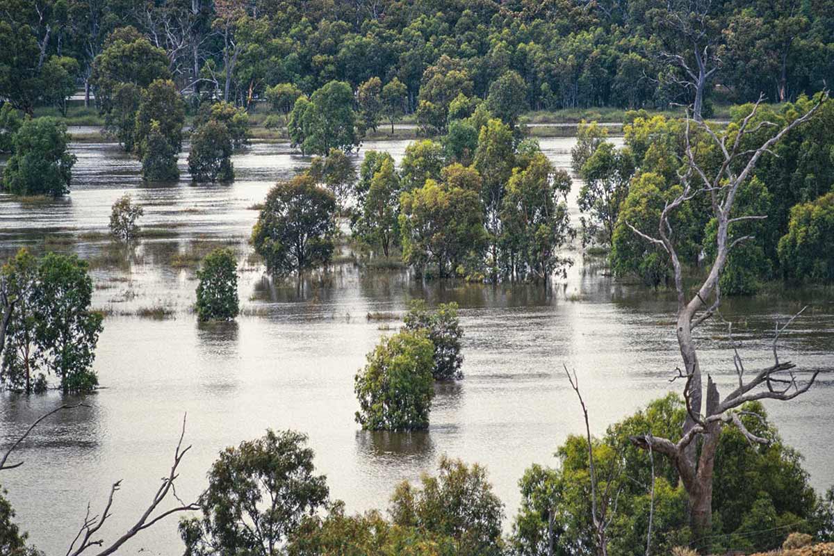Murray River is flooding in South Australia