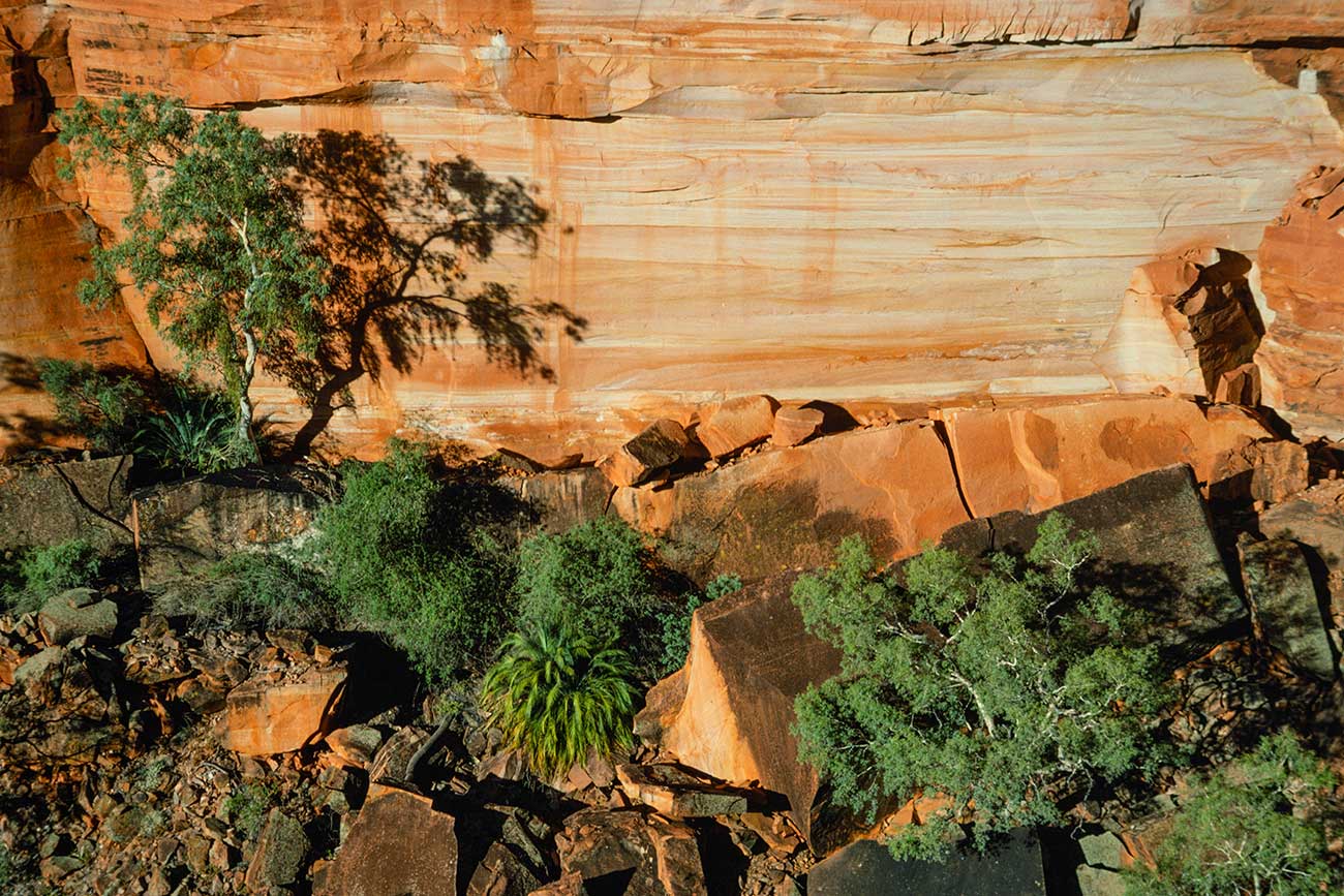 Kings Canyon Garden view from the cliff, Australia