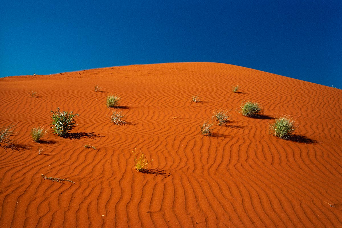 Outback ed dune, Australia