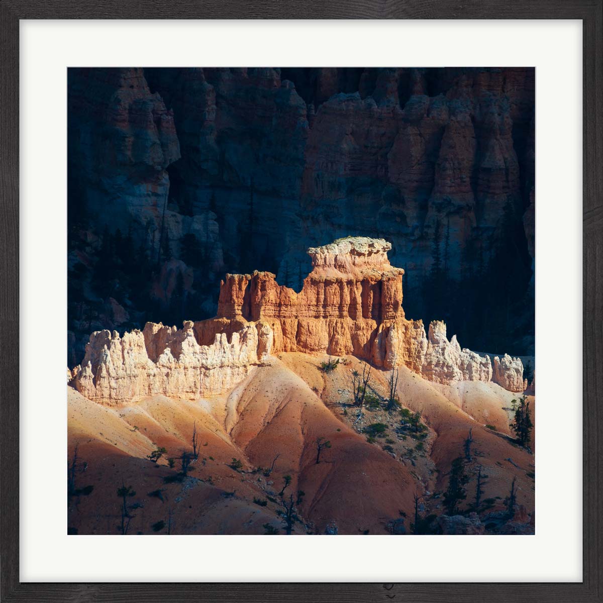 bryce framed