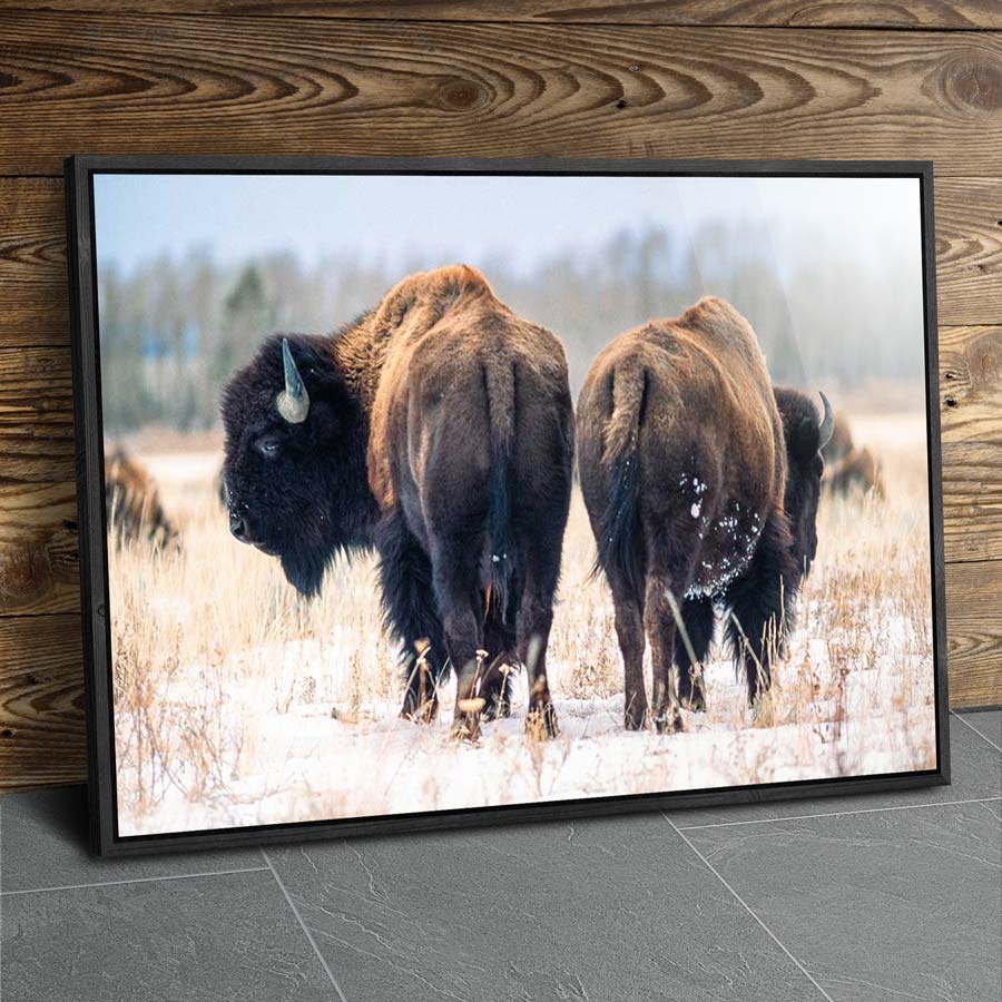 buffalo butts framed museum