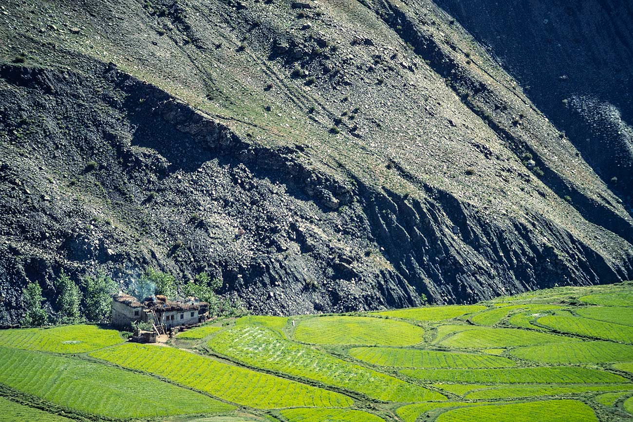 Les jardins verdoyants des vallées minérales du Ladakh