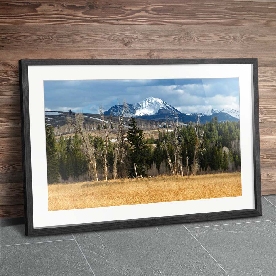 mount leidy framed tradition