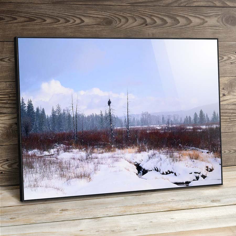 winter sleet framed artbox